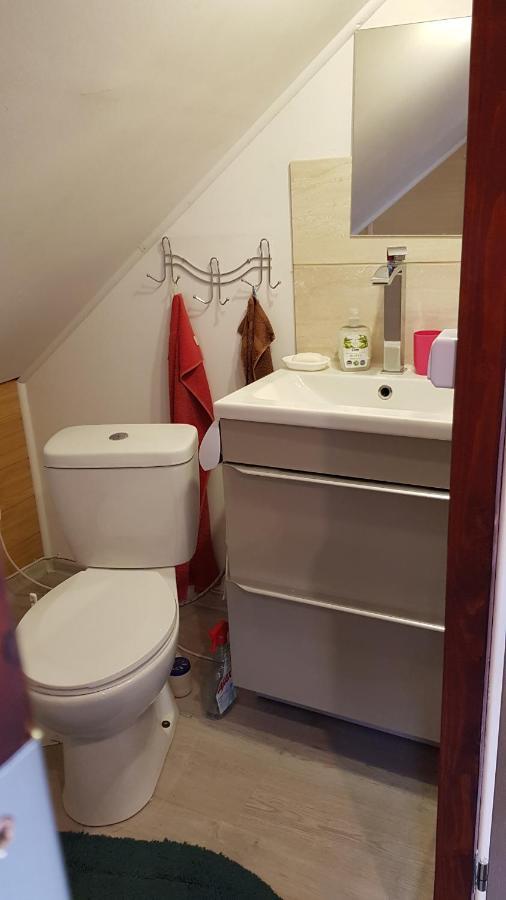 Turystyczny Apartament Na Poddaszu Skoczów Buitenkant foto