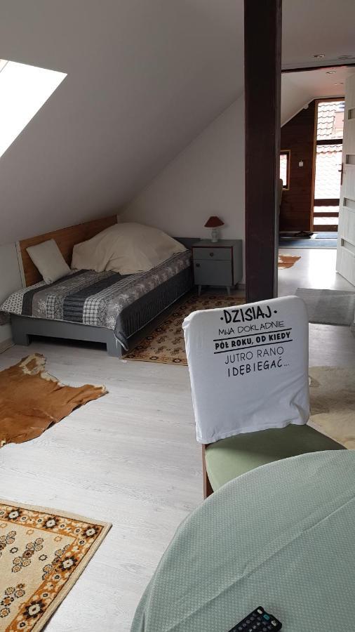 Turystyczny Apartament Na Poddaszu Skoczów Buitenkant foto
