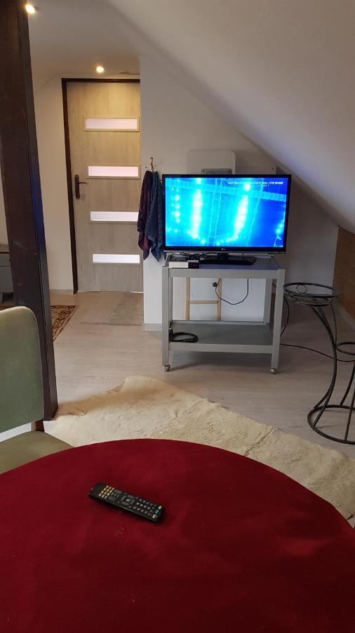 Turystyczny Apartament Na Poddaszu Skoczów Buitenkant foto